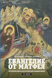 Евангелие от Матфея. Исторический и богословский комментарий. Том 1 - Иларион (Алфеев)