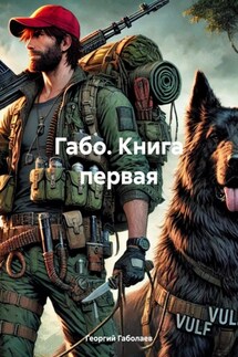 Габо. Книга первая - Георгий Габолаев