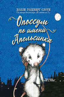 Опоссум по имени Апельсинка - Голдберг Холли