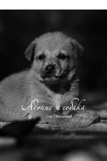 Адонис и собака - Егор Двинянинов