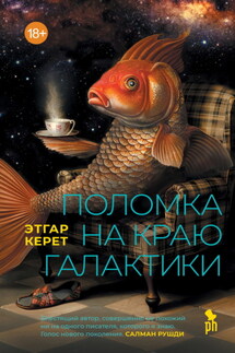 Поломка на краю галактики - Этгар Керет