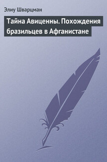 Тайна Авиценны. Похождения бразильцев в Афганистане