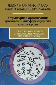 СТРУКТУРНАЯ ОРГАНИЗАЦИЯ ХРОМОСОМ И ДИФФЕРЕНЦИРОВКА КЛЕТОК КРОВИ. STRUCTURAL ORGANIZATION OF CHROMOSOMES AND BLOOD CELL DIFFERENTIATION - Лидия Ивановна Чабала, Вадим Анатольевич Чабала
