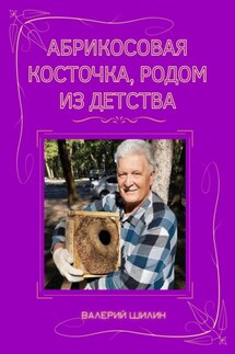 Абрикосовая косточка, родом из детства - Валерий Шилин