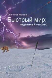 Быстрый мир: медленный человек - Святослав Коровин