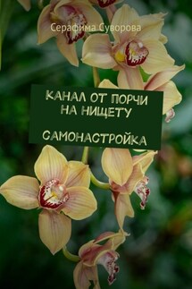 Канал от порчи на нищету. Самонастройка - Серафима Суворова