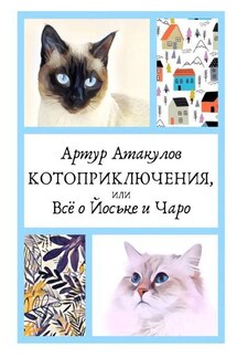Котоприключения, или Всё о Йоське и Чаро - Артур Атакулов