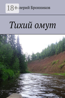 Тихий омут - Валерий Бронников