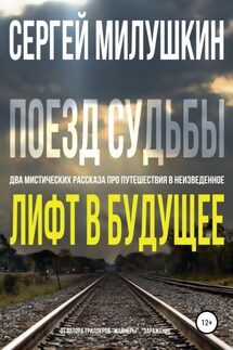 Лифт в будущее. Поезд судьбы - Сергей Милушкин