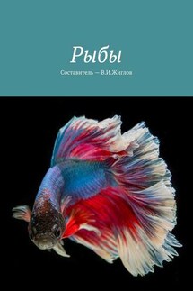 Рыбы - В. Жиглов