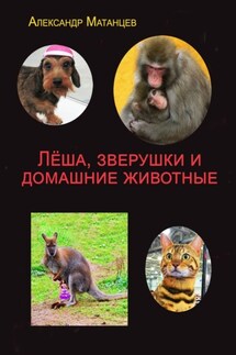 Лёша, зверушки и домашние животные - Александр Матанцев