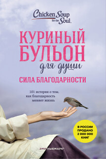 Куриный бульон для души. Сила благодарности. 101 история о том, как благодарность меняет жизнь - Эми Ньюмарк, Дебора Норвилл