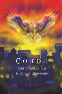 Сокол - Святослав Андреевич Зубов, Наталия Валерьевна Шамшина