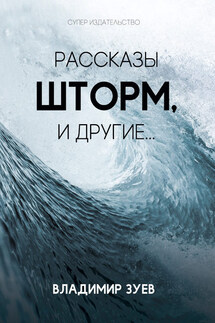Рассказы. Шторм и другие… - Владимир Зуев
