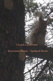 Бельчонок Покки. Храбрый носик - Нина Лукина