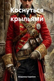 Коснуться крыльями - Владимир Сединкин