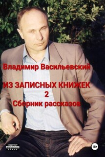 Из записных книжек 2. Сборник рассказов - Владимир Васильевский