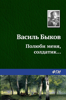 Полюби меня, солдатик… - Василий Быков