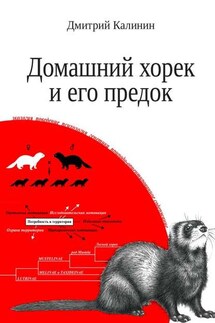 Домашний хорек и его предок - Дмитрий Калинин