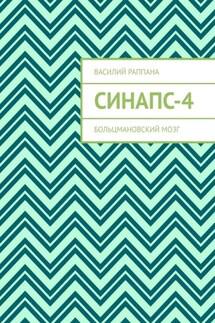 Синапс-4. Больцмановский мозг - Василий Раппана