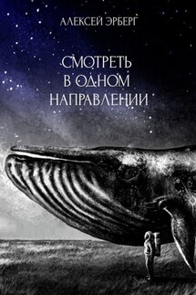 Смотреть в одном направлении - Алексей Эрберг