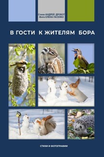 В гости к жителям бора - Андрей Дробот