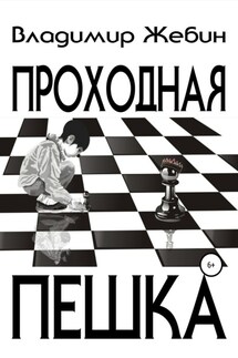 Проходная пешка - Владимир Жебин