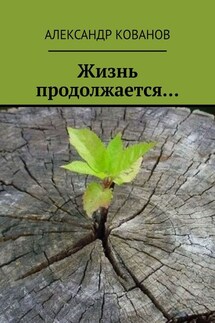 Жизнь продолжается… - Александр Кованов