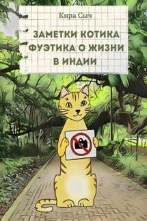 Заметки Котика Фуэтика о жизни в Индии - Кира Сыч