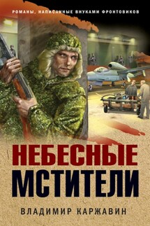 Небесные мстители - Владимир Каржавин