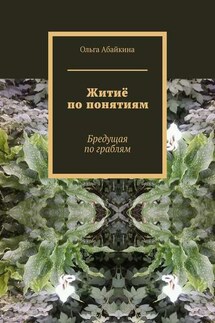 Житиё по понятиям. Бредущая по граблям - Ольга Абайкина