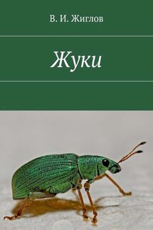 Жуки - В. Жиглов