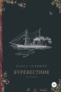 Буревестник - Павел Девяшин