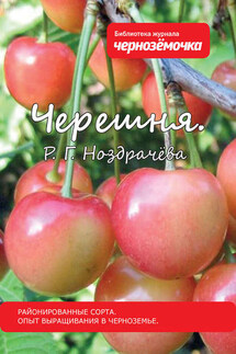 Черешня. Районированные сорта. Опыт выращивания в Черноземье - Р. Ноздрачева