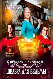 Каникулы с огоньком. Швабра для ведьмы - Елизавета Соболянская