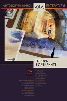 Голоса в лабиринте - Антология, Нари Ади-Карана