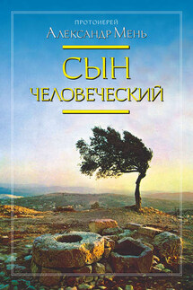 Сын Человеческий - Александр Мень
