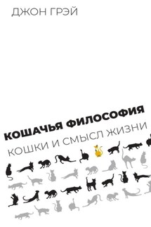 Кошачья философия. Кошки и смысл жизни - Джон Грэй