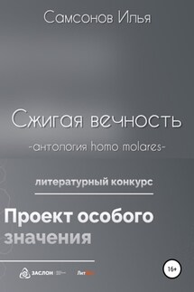 Сжигая вечность - Илья Самсонов