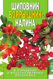 Шиповник, боярышник, калина в очищении и восстановлении организма - Алла Нестерова