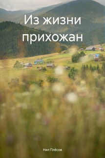 Из жизни прихожан - Нил Плёсов