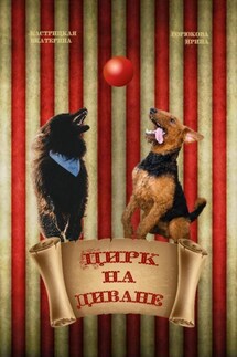 Цирк на диване - Екатерина Кастрицкая, Ирина Горюкова