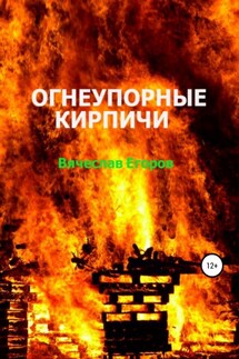 Огнеупорные кирпичи - Вячеслав Егоров