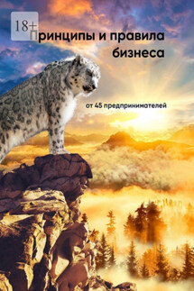 Принципы и правила бизнеса - Эмиль Ахундов