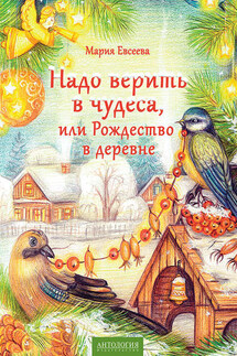 Надо верить в чудеса, или Рождество в деревне - Мария Евсеева