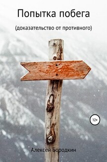 Попытка побега - Алексей Бородкин