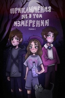 Приключения не в том измерении - Полина С.