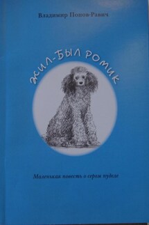 Жил-был Ромик - Владимир Попов-Равич