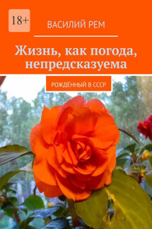 Жизнь, как погода, непредсказуема. Рождённый в СССР - Василий Рем