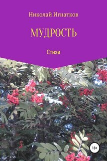 Мудрость. Сборник стихотворений - Николай Игнатков